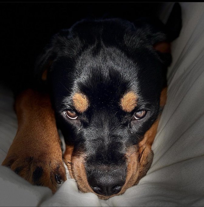 Watch nicolepaigexx | $3 page‼️'s leaked NSFW photo on TwXstars