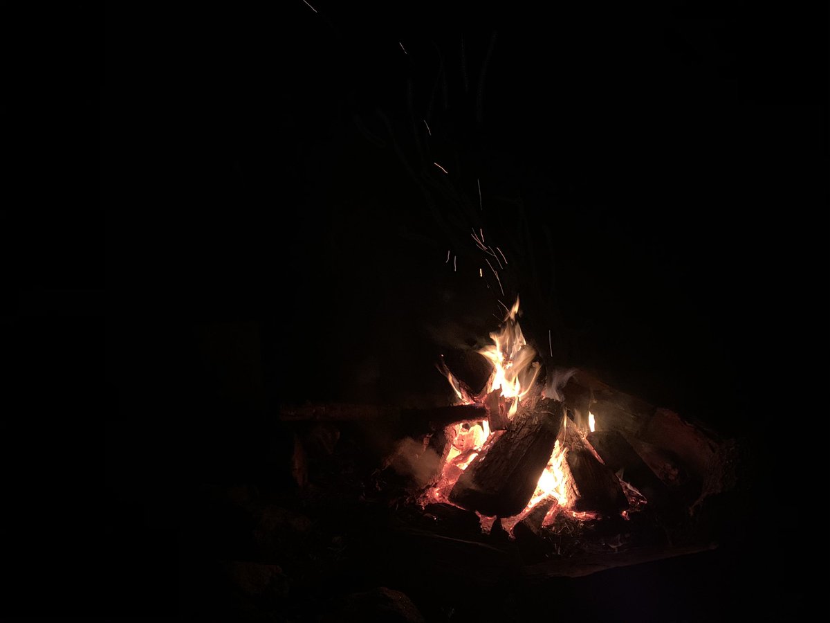 Hunter0988's tweet photo. Step 1. Buy a telescope
Step 2. Put telescope in backpack
Step 3. Hike
Step 4. Befriend Cat
Step 5. Look at stars with new best friend

It’s not much but I got a picture of the Pleiades Cluster! https://t.co/3VKgT8AkCn