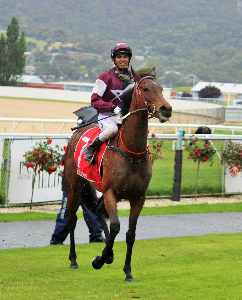 Kay Oh Ell gave me my pre birthday gifts after winning the Paul Harris Hobart Events 3yo Maiden
3Y MDN-SW, 1100m on her first outing. Thanks to <a href="/bonanza_yassy/">Yassy 調教師、元騎手、馬主、G1への道</a> for the hard work behind this amazing filly and the owners for giving me the opportunity to ride her.🇯🇵 🇦🇺