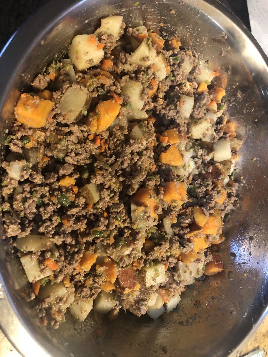 BayAreaVB's tweet photo. Revan was very interested in his home cooked meal. #justfoodfordogs https://t.co/YQLJxSwSlS