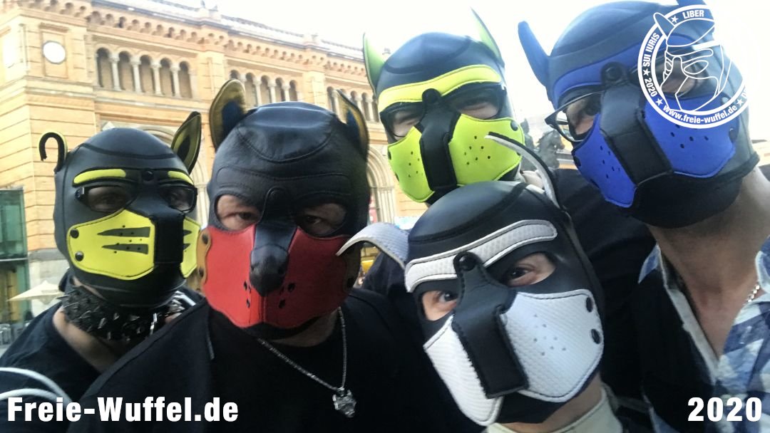 AquariusOwner's tweet photo. Es war im heissen August in Hannover.Die FreienWuffel wandern durch Hannover und werden von den Menschen freundlich begrüßt.Was für ein Sommer in dem wir frei herumwuffelten #freiewuffel #gaypup #nonbinär #puptoffi #dago #aquarius #andersraum #pupazrael #pupaidan #queer #LGBTQI https://t.co/uqZNdGq0Dn