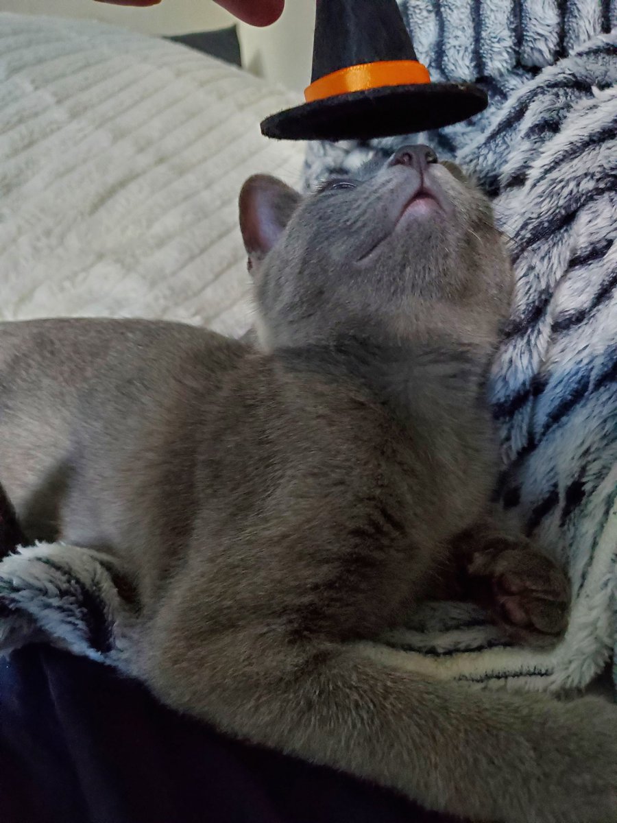 Lydia Dennett tweet media