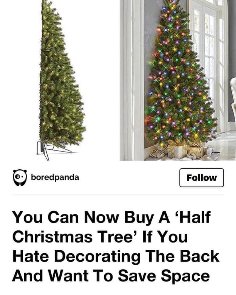 Barbara Walters: If you were a tree, what kind of tree would you be?

2020: I’d be the kind that would be lit with my back against the wall, Barbara.