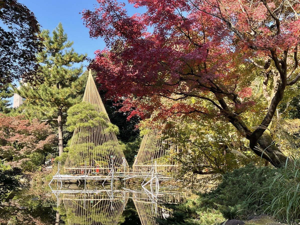DigicomiSNS's tweet photo. 事務所の近くの甘水園 https://t.co/iPIwSt6SCT
