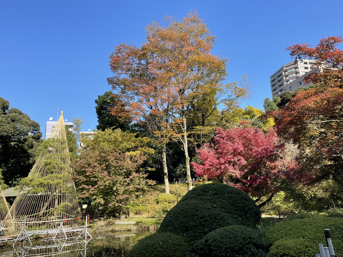 DigicomiSNS's tweet photo. 事務所の近くの甘水園 https://t.co/iPIwSt6SCT