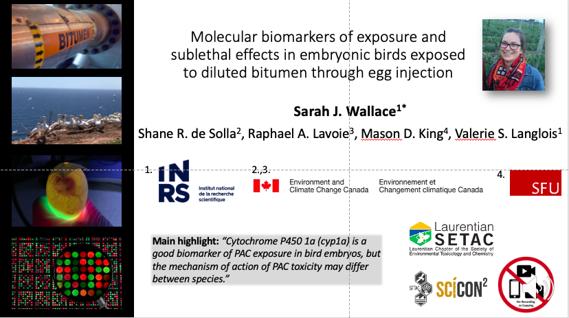 sjwallace06's tweet photo. @studentsofSETAC 🙋‍♀️Check out my talk 6.01.07 "Molecular Biomarkers of Exposure and Sublethal Effects in Embryonic Birds Exposed to Diluted Bitumen Through Egg Injection" #dilbit #birdtox #ecotox #wildlifetoxicology 🥚🐣🧬 https://t.co/24qnLrA7GW