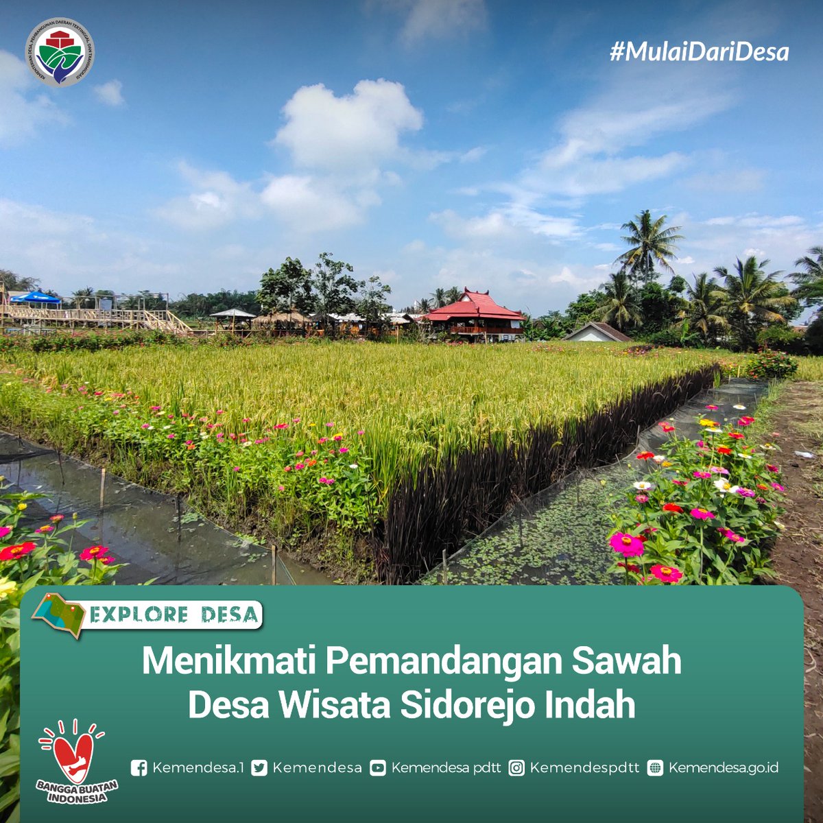 kemendespdt's tweet photo. Desa Wisata Sidorejo Indah (Dewi Sri) adalah salah satu wisata di Desa Sidorejo, Kecamatan Jabung, Kab. Malang, Provinsi Jawa Timur.
Produk unggulan dari Desa Wisata Sidorejo Indah adalah beras organik dan aneka produk buatan lokal.
#ExploreDesa #DesaBisa
#MulaiDariDesa https://t.co/NyD7bjU2L8