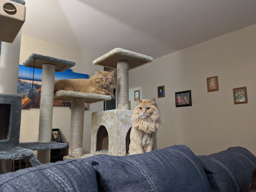 Keith (@keithbmiller) on Twitter photo 