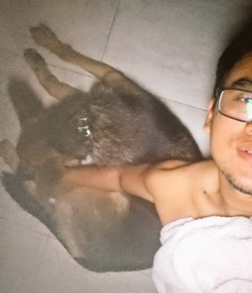 CherchioMateus's tweet photo. Odin 🐕 https://t.co/HYy06XUabZ