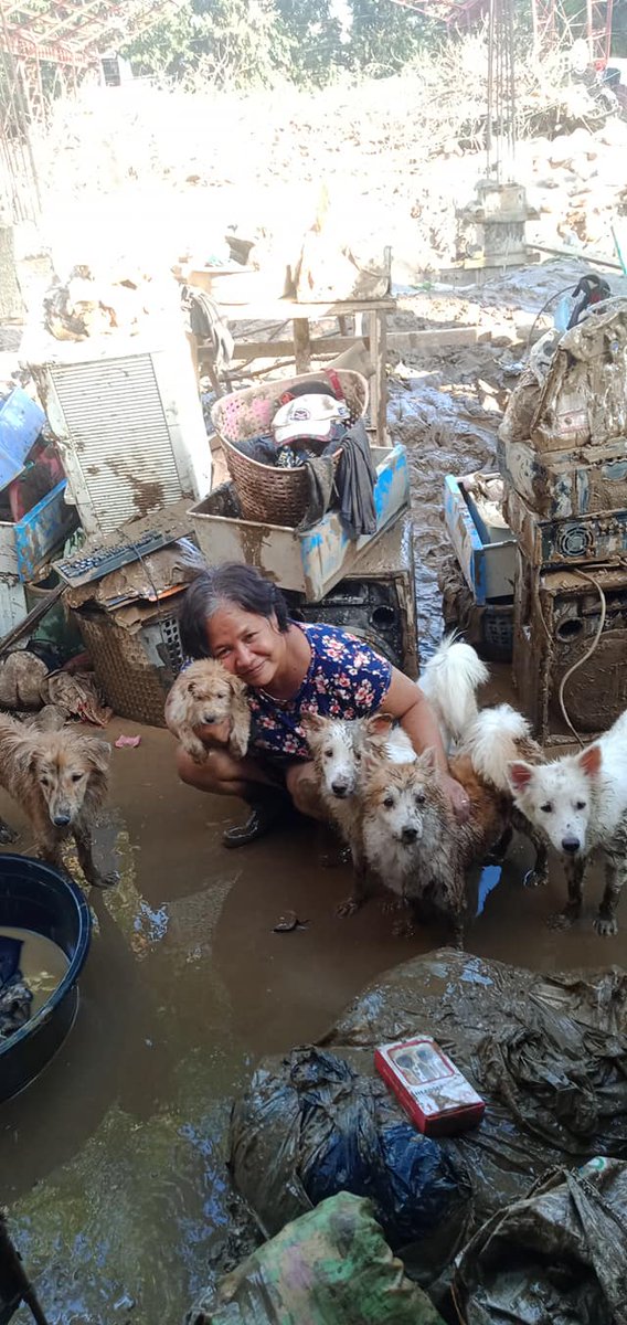 BeAnINQUIRER's tweet photo. “Ang importante, buhay din kayo.”

TINGNAN: Wala mang naisalbang gamit sa bahay, nailigtas naman ng isang ginang mula sa Rodriguez, Rizal ang kanyang mga alagang aso.

📸: Arly Torio #BeAnINQUIRER https://t.co/oZRtHUY1NA