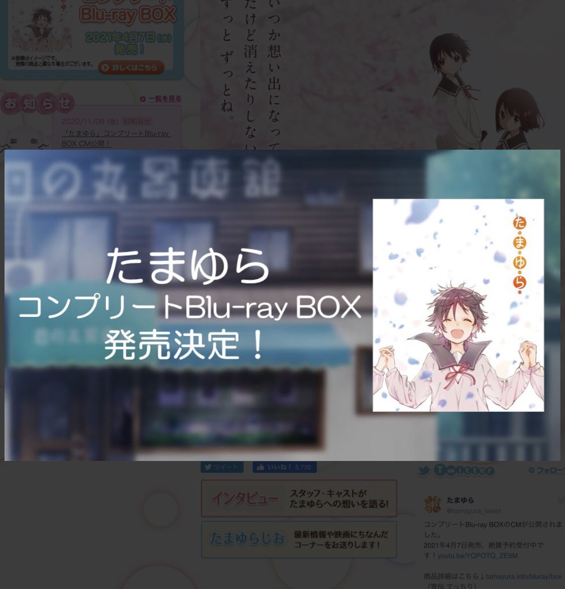 しごとぎやたまゆら ももねこヘルメット です たまゆら Tamayura 玉響 枚方 作業服 事務服 ユニフォーム Uniform Work Workwear Tamayuraathle たまゆらアスレ イタ車 ももねこ ももねこヘルメット アニメたまゆら 竹原 竹原市 聖地