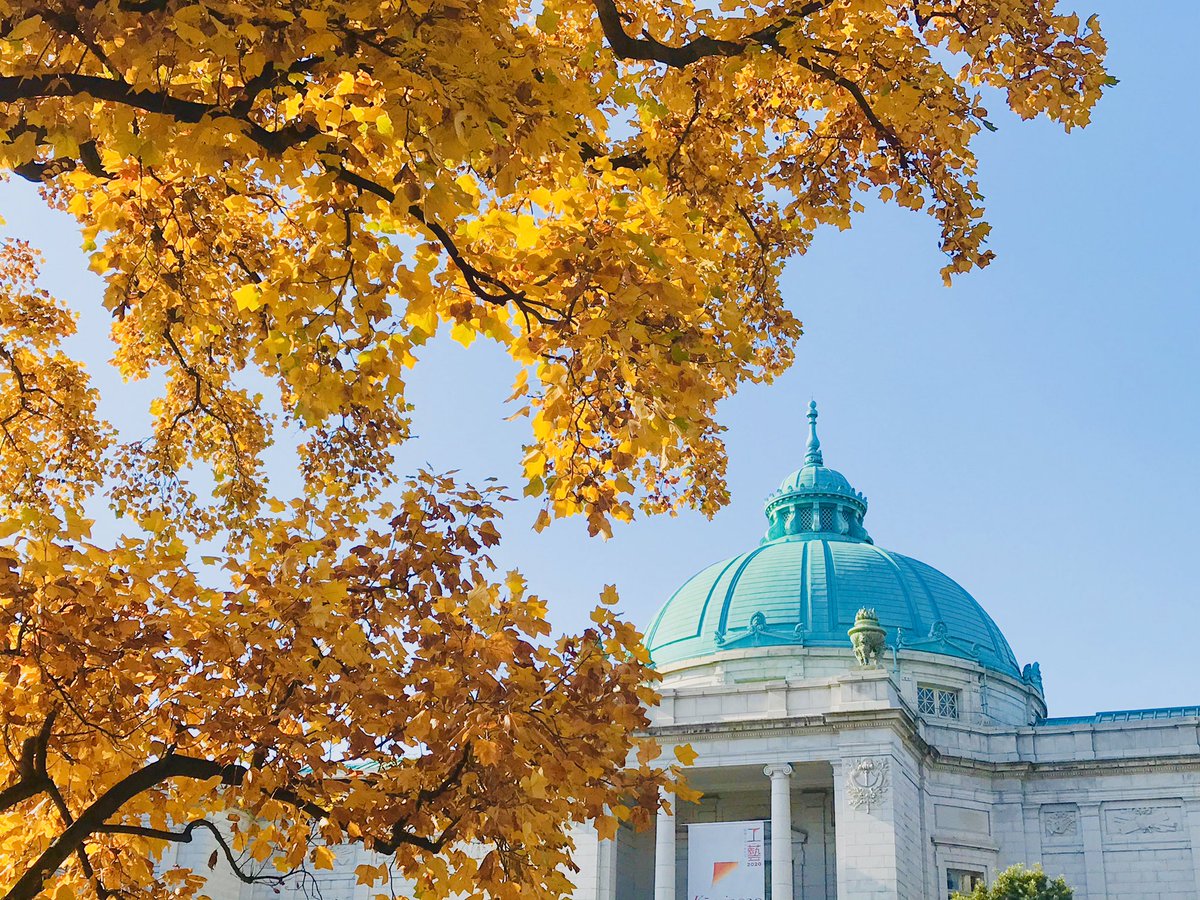 「東京国立博物館、紅葉が芸術的。桃山展、ものすごい豪華です…。Artistic V」|ナカムラクニオ Kunio Nakamuraのイラスト