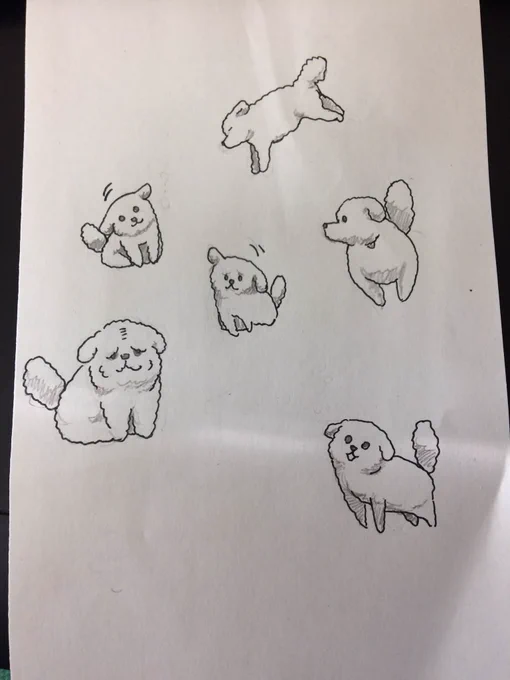 家に犬がいるからといって犬が描けるかというとそうでもない 