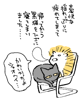 羅小黒戦記4DX観てきました日記 