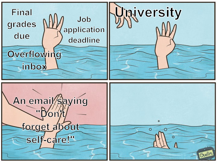 DrKatfish's tweet photo. Welcome to the Sunday night before Finals Week, everyone https://t.co/VSgHj0J90Z