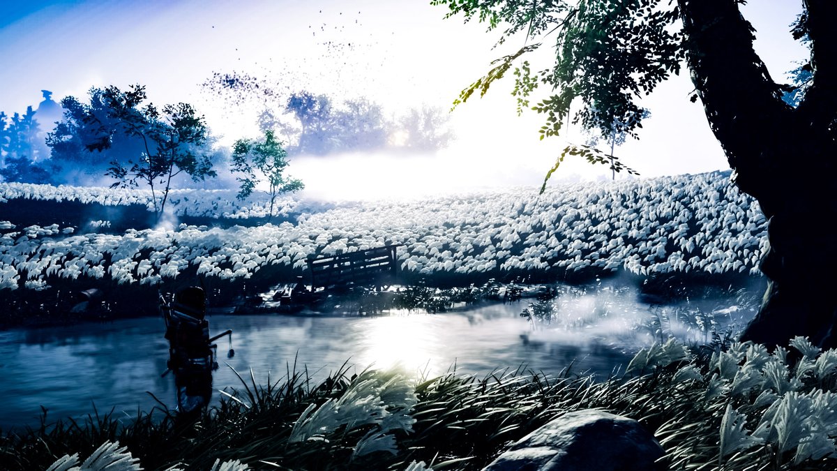 i_nofum_i_Game's tweet image. - 風景 - Landscape

#ゴーストオブツシマ
#ghostoftsushima  #virtualphotography #photomode