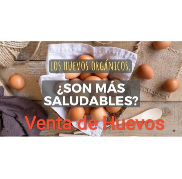 jpachon84's tweet photo. Los Huevos Orgánicos de Gallinas Felices son más ricos y saludables..  Pedidos 3138504882 - 3503651615 https://t.co/Cwdy12WVWF