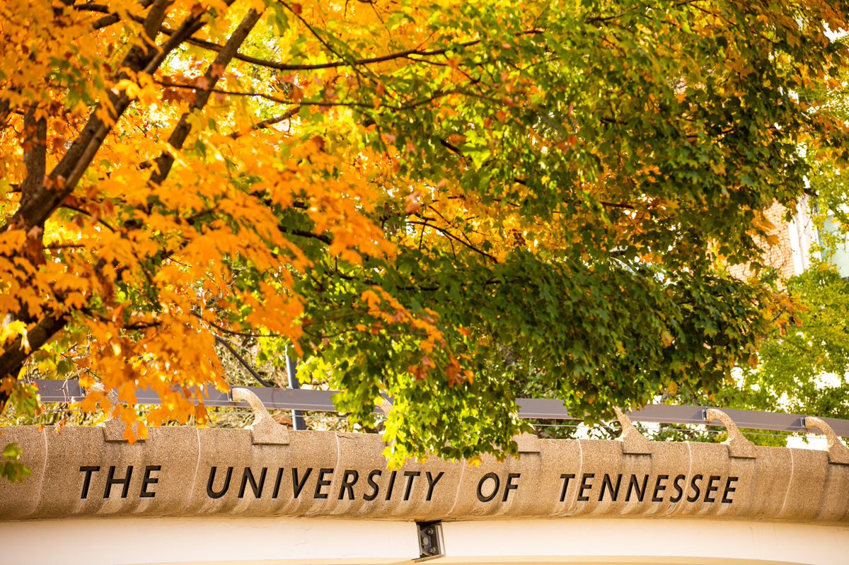UT_Admissions's tweet photo. 🚨We are one month out from the Regular Admission Deadline 🚨 Have you started your application yet, #FutureVols? ☑️ https://t.co/ZYkoZeOdeR https://t.co/k22fIugfW9