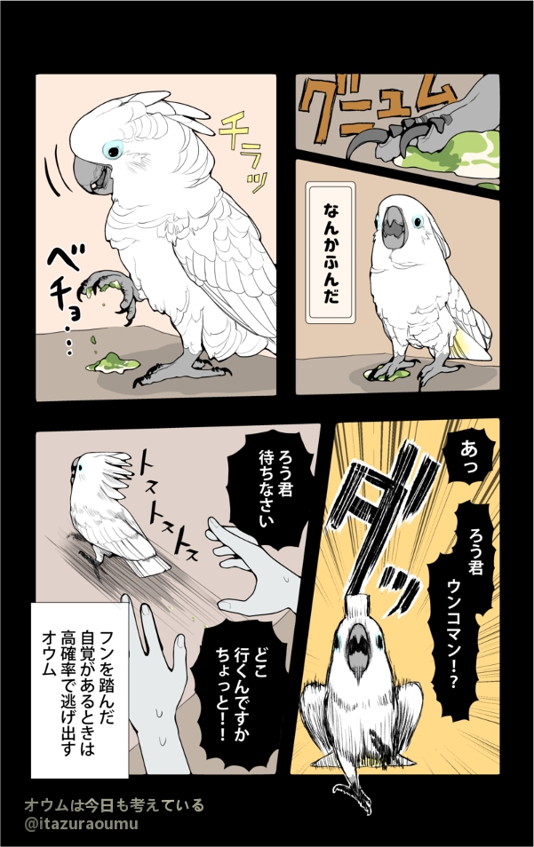 脚を洗わずに済ませたいオウム。
毎日掃除が大変です。
#漫画 #オウムは今日も考えている 