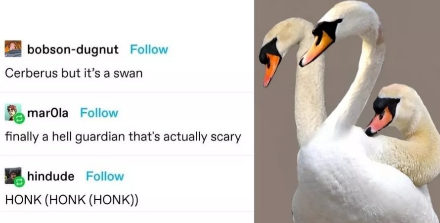 Classical Studies Memes tweet media