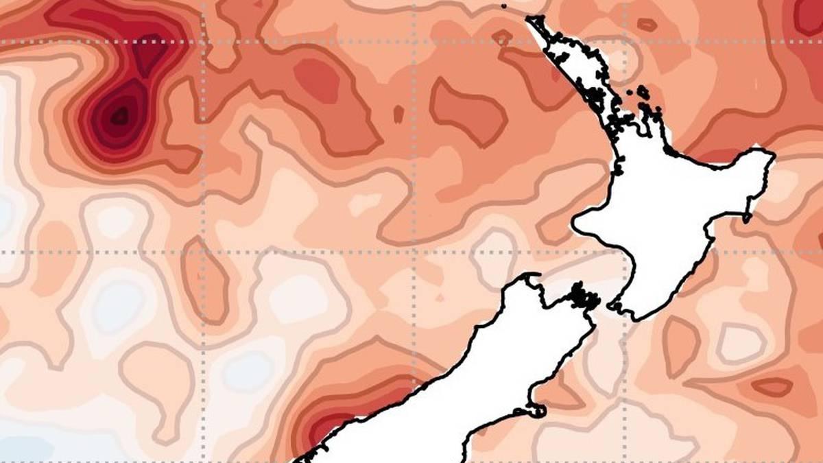 nzherald's tweet image. Running hot: Some coastal areas now in &apos;marine heatwave&apos; nzherald.co.nz/nz/running-hot…
