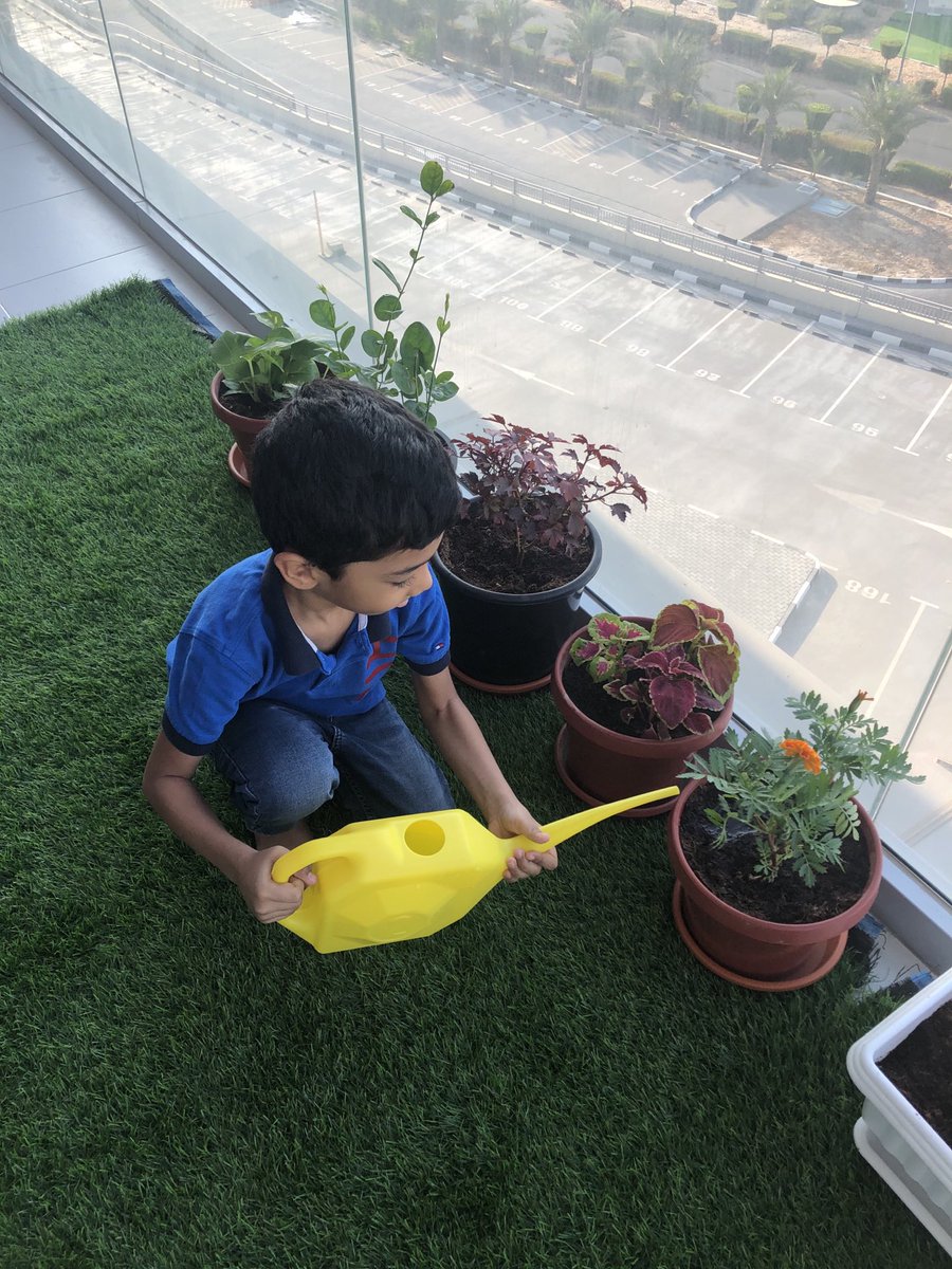 sameer ahmed tweet media