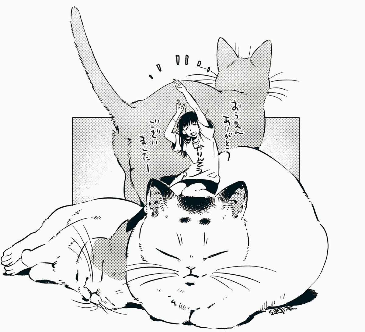 郷本 ねこだまり 4巻 芳文社より本日11 16発売です よろしくお願いします こちらの巻で完結となります ありがとうございました ねこだまり T Co Ia9qc0yxfo 郷本 ねこだまり 4巻 芳文社より本日11 16発売です よろしくお願いします こちらの巻で完結となります ありがとうございました ねこだまり T Co Ia9qc0yxfo