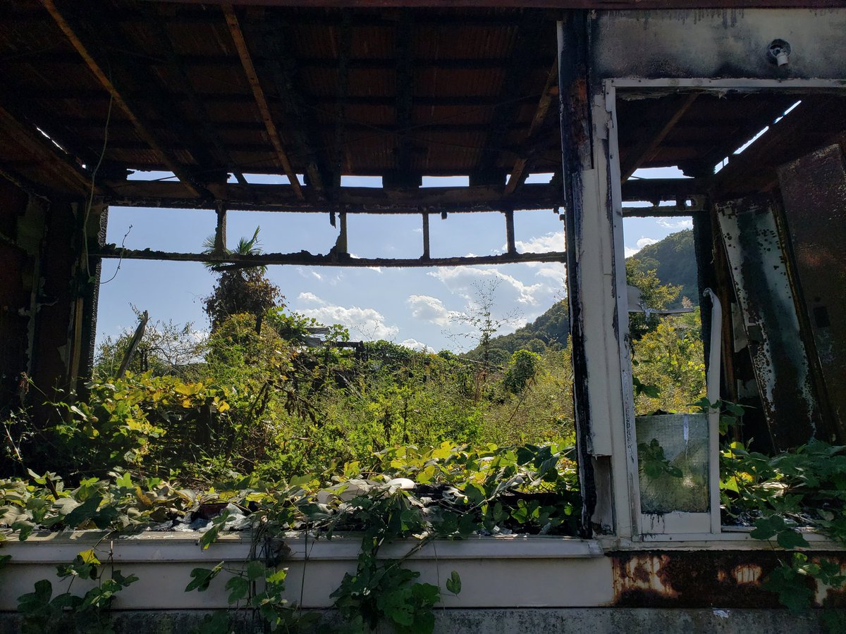 The Less Dead tweet media