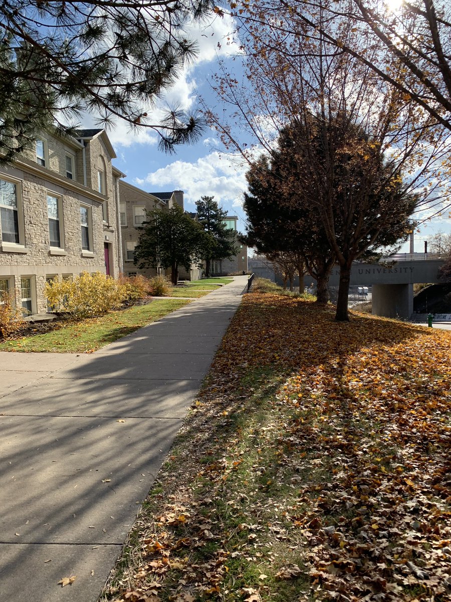 oceanomics's tweet photo. Because if you look, there is always light! Veritas est lux @LawrenceUni @LUVikingsFB #lawrenceuni #lightmorelight Photo by: @tdecastro72 https://t.co/8rLCqj4pWo