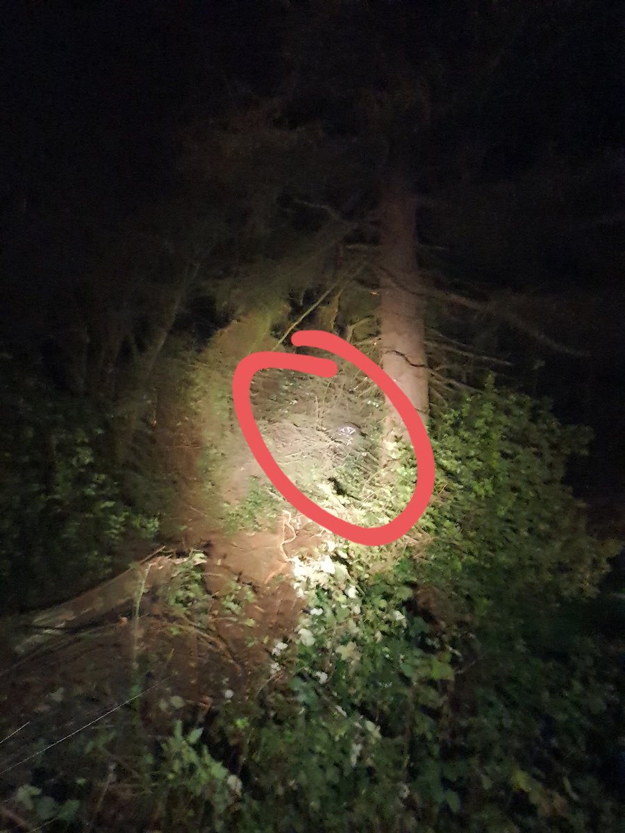 JDRecovery247's tweet photo. It certainly has been a busy weekend, attending multiple RTCs following wet conditions. Finished with assisting @SurreyRoadCops  with this RTC in the early hours of this morning, a few crane techniques was used to extract this car from the bushes. https://t.co/14ggUHvy3R