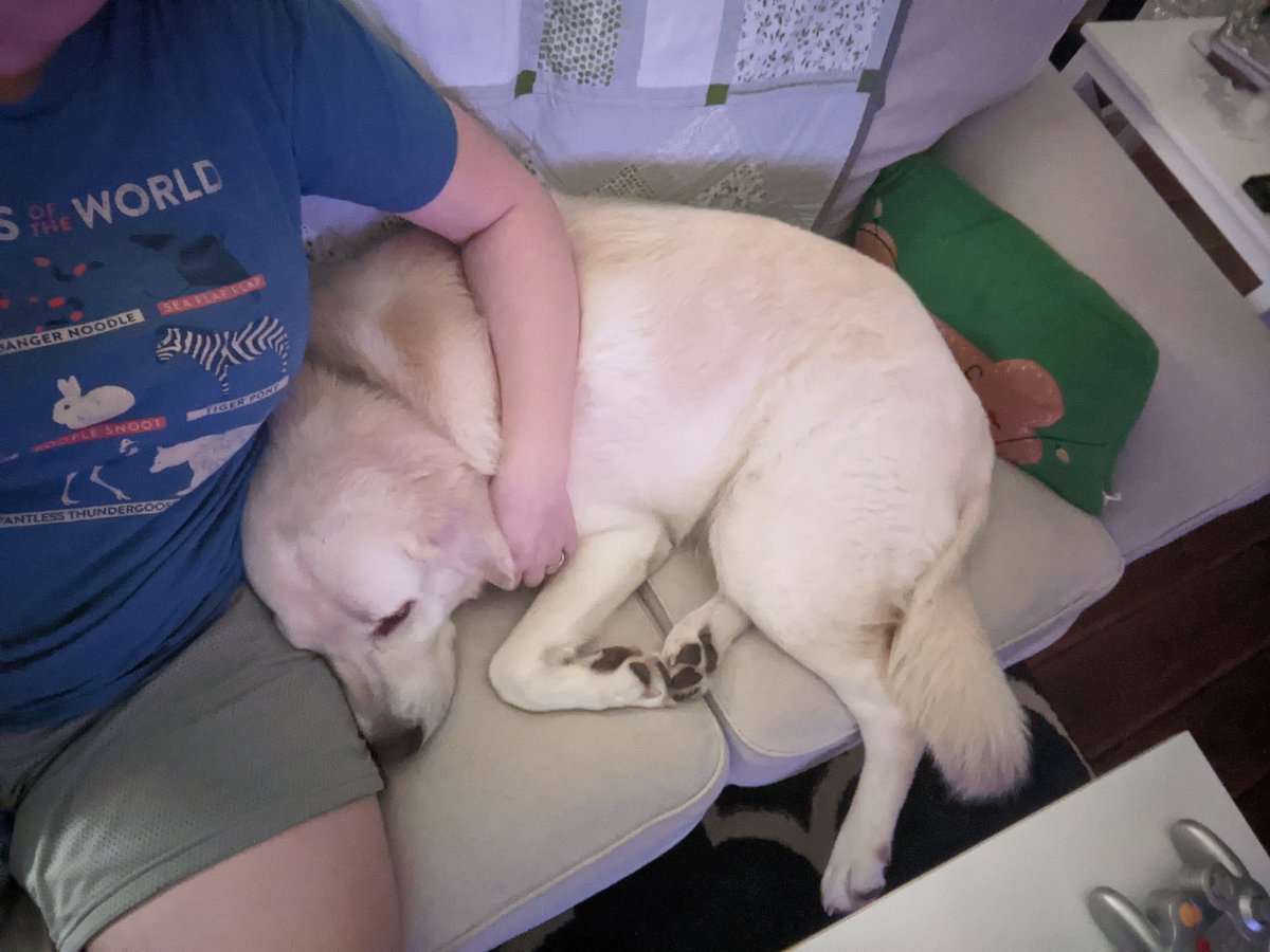 MSertner's tweet image. Mama's love bug boy