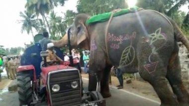 Thirsty Elephant Stops Water Tanker Enroute Its Procession During Hampi Utsav in Karnataka's Ballari City

#timesofkarnataka #hampi #hampiutsav #procession