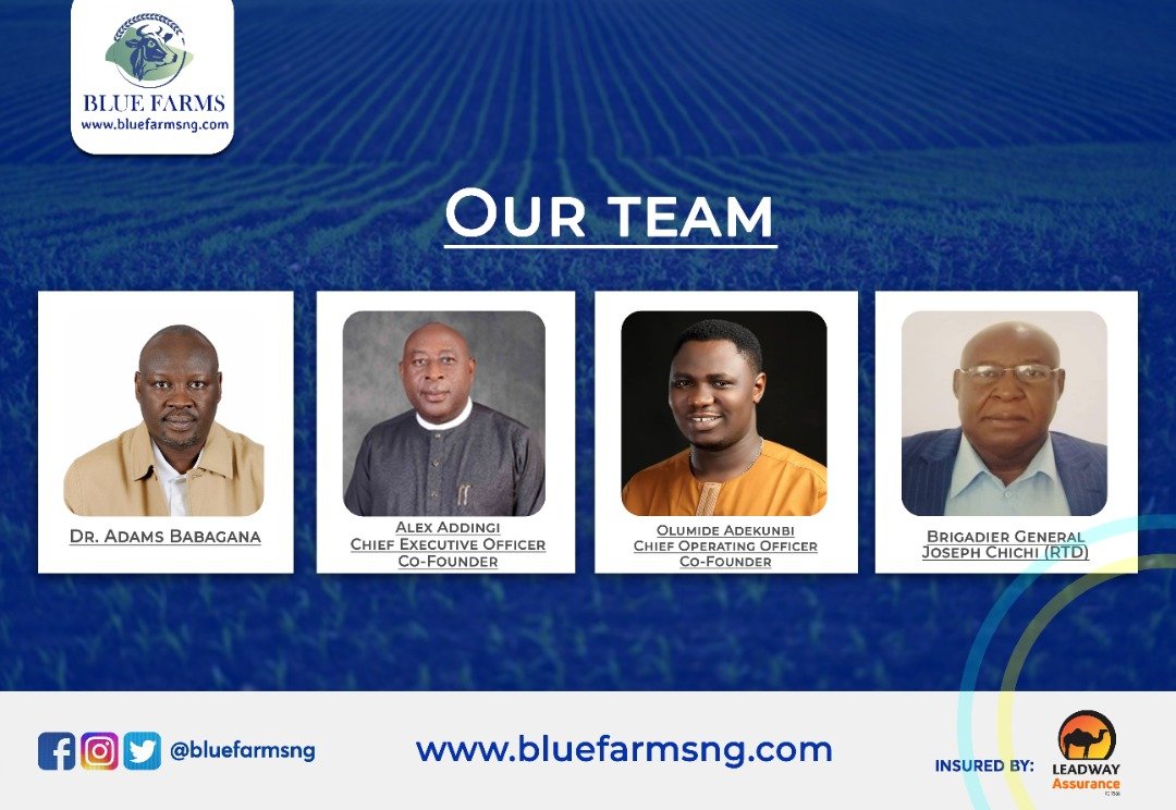 bluefarmsng's tweet photo. Our word is bond! Meet the faces behind Blue Farms.

#Bluefarms #Bluefarmsng #invest #investnow #Agriculture #Agroinvestment #farm #farming #farmersmarket https://t.co/5nXSNvXyNr