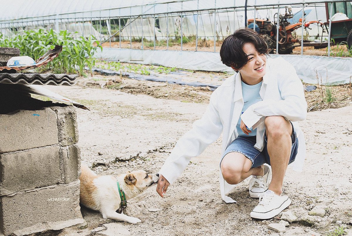 archiveforJK's tweet photo. season greetings 2021 🌿 https://t.co/k8tGRJ1qEO