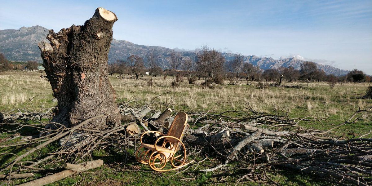 supacham's tweet photo. Hoy es el  #DiaUniversalOrgulloRural. Desde @greenpeace_esp  lanzamos #HablaRural. Una campaña para ESCUCHAR al mundo rural que nos alimenta, nos ofrece una opción de bienestar, aire limpio, y conexión con la naturaleza y además es protector y garante de la biodiversidad. https://t.co/Zgfl2mh0wv