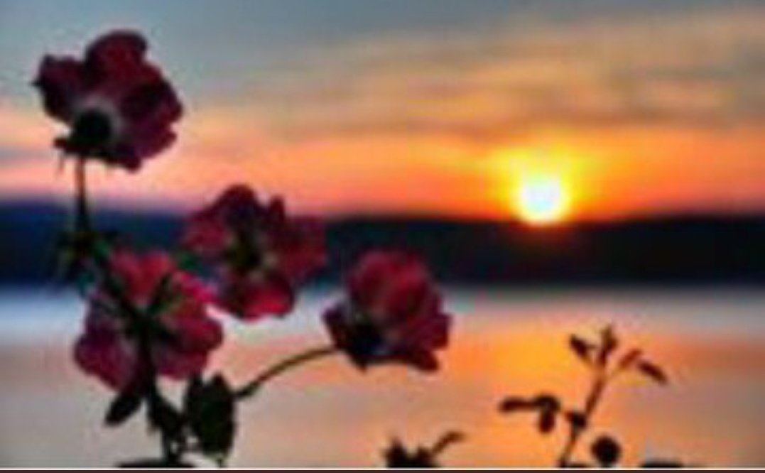 @SisElaine❤ (@elainerequina2x) on Twitter photo <a href="/arenb72/">🅰️🌧</a> <a href="/wengcookie/">Weng</a> <a href="/Salvesayson/">SALVE 🎀ALDUBKingdom🎀</a> <a href="/AverillaNena/">🏵Nena🌻</a> <a href="/cpjayloni/">Simply CEZ</a> <a href="/elekmyco/">alex</a> <a href="/russelle87/">💞russelle💞</a> @raven_rey27 <a href="/casper_245/">vhence245</a> <a href="/BorjaGojar/">glenda gojar borja💕💚💛</a> <a href="/pinkyfaye/">MariaFe VelascoM</a> <a href="/AcpaLhaz/">acpa</a> <a href="/BatangEBako/">Sipnget Ken Laoagᴬᴰᴺ</a> <a href="/ashleylaw371/">E.B.A.is Mom Bᴬlᴰubᴺation</a> @MarryCarTL29hk <a href="/mariachonatabe1/">🌷Chona 🍁</a> <a href="/ALDubFTnQT/">ALDUB_FTnQTees ᴬᴰᴺ 😌</a> Thank u Lodi
<a href="/arenb72/">🅰️🌧</a> 😘
Good evening!
Stay safe! God Bless ebr1 🙏
#ALDUBatADN64Months 💗 <a href="/arenb72/">🅰️🌧</a> <a href="/wengcookie/">Weng</a> <a href="/Salvesayson/">SALVE 🎀ALDUBKingdom🎀</a> <a href="/AverillaNena/">🏵Nena🌻</a> <a href="/cpjayloni/">Simply CEZ</a> <a href="/elekmyco/">alex</a> <a href="/russelle87/">💞russelle💞</a> @raven_rey27 <a href="/casper_245/">vhence245</a> <a href="/BorjaGojar/">glenda gojar borja💕💚💛</a> <a href="/pinkyfaye/">MariaFe VelascoM</a> <a href="/AcpaLhaz/">acpa</a> <a href="/BatangEBako/">Sipnget Ken Laoagᴬᴰᴺ</a> <a href="/ashleylaw371/">E.B.A.is Mom Bᴬlᴰubᴺation</a> @MarryCarTL29hk <a href="/mariachonatabe1/">🌷Chona 🍁</a> <a href="/ALDubFTnQT/">ALDUB_FTnQTees ᴬᴰᴺ 😌</a> Thank u Lodi
<a href="/arenb72/">🅰️🌧</a> 😘
Good evening!
Stay safe! God Bless ebr1 🙏
#ALDUBatADN64Months 💗
