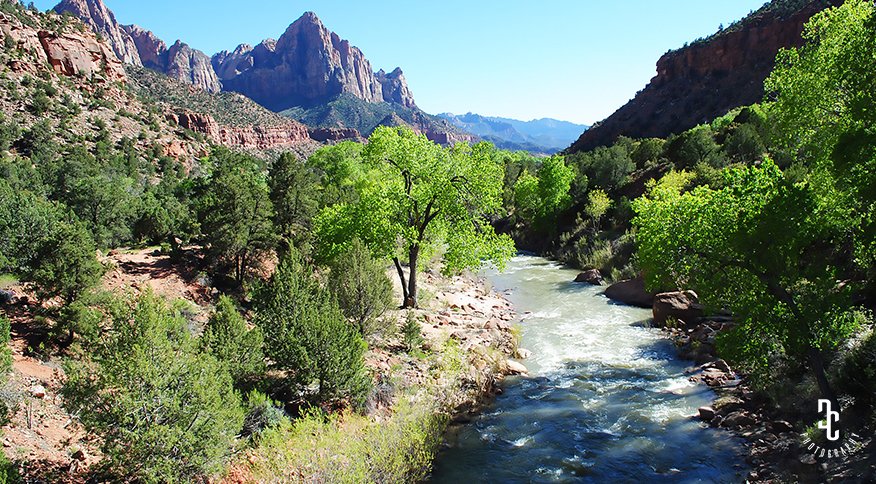 DC_Foliography's tweet photo. The 162 miles long "Virgin #River" in the #Zion National #Park, UT #photography #art https://t.co/vd7v6aEjWO