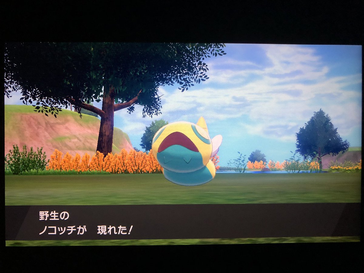 フカヒロ Pixivリクエスト３作目納品 アキラのガラル冒険記 早速本土には居ない新顔 ジョウト世代のノコッチを発見 フィラでゲットを試みるが ひいいぃぃぃっ まさかの ドラゴンダイブ であっという間に追い込まれた 耐えてくれたけど