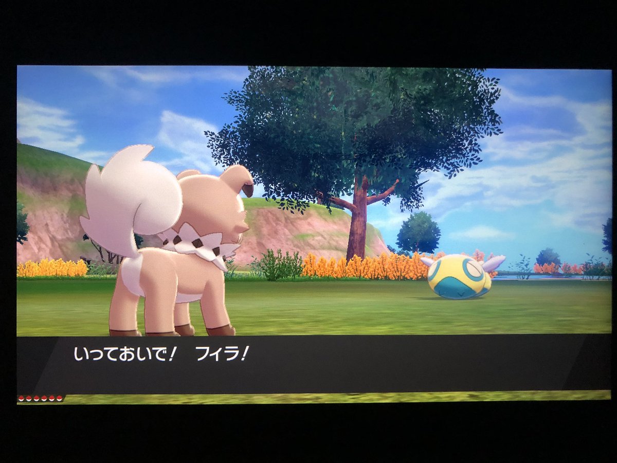 フカヒロ Pixivリクエスト３作目納品 アキラのガラル冒険記 早速本土には居ない新顔 ジョウト世代のノコッチを発見 フィラでゲットを試みるが ひいいぃぃぃっ まさかの ドラゴンダイブ であっという間に追い込まれた 耐えてくれたけど