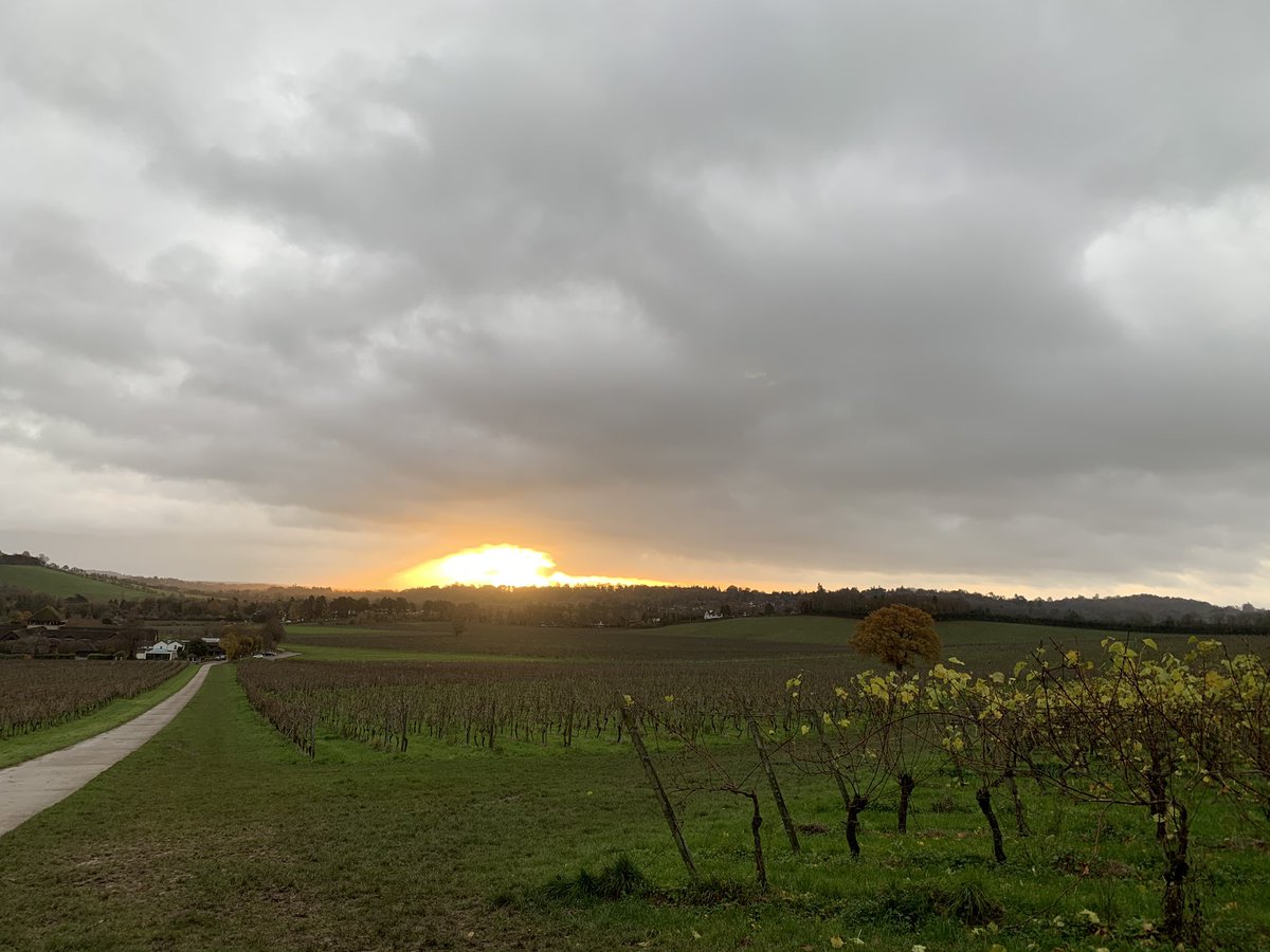 Denbies Wine Estate tweet media