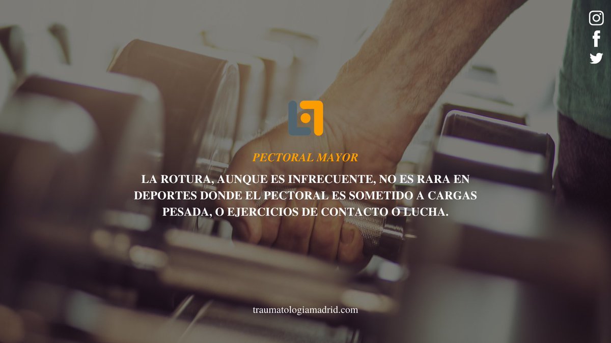 🥼 La ROTURA DEL PECTORAL MAYOR, aunque es infrecuente, no es rara en deportes donde el pectoral es sometido a cargas pesada, o ejercicios de contacto o lucha.

📲 Más en cutt.ly/Ag342zT