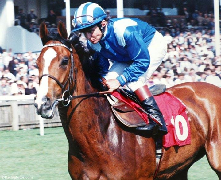 A very Happy Birthday to 17-time British Classic winning jockey Willie Carson 