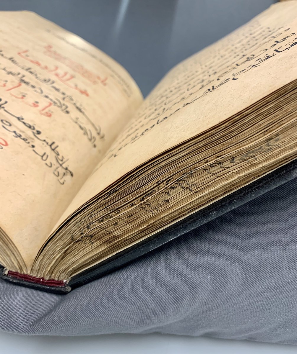 iamkristinesr's tweet photo. Beautiful paper, velvet black script and lustrous red ink @CBL_Dublin Ar 3831, Kitab al-bayzara (On Falconry), c.975 #IslamicManuscripts #ManuscriptMonday #IslamicPaper https://t.co/WHtp08uYAh