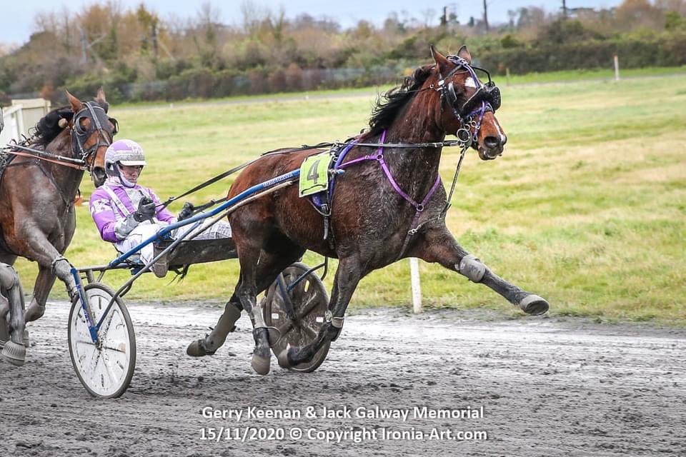 IrishTrotting's tweet photo. Congratulations to all those who had winners yesterday, and all the connections, @PortmarnockRWY in the Jack Galway &amp; Gerry Keenan Memorial Raceday!      

Amazing photos by our editor @ironiaart!  

#IrishHarness #PortmarnockRaceway #IrishTrotter https://t.co/XEzyH09vHt