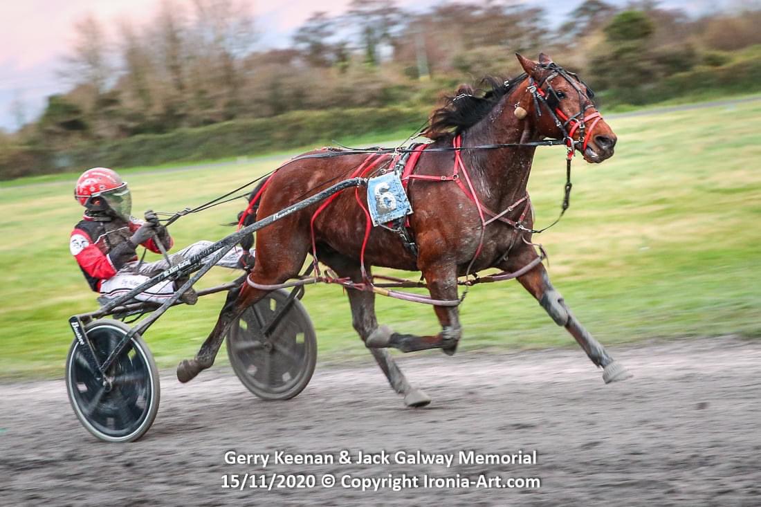 IrishTrotting's tweet photo. Congratulations to all those who had winners yesterday, and all the connections, @PortmarnockRWY in the Jack Galway &amp; Gerry Keenan Memorial Raceday!      

Amazing photos by our editor @ironiaart!  

#IrishHarness #PortmarnockRaceway #IrishTrotter https://t.co/XEzyH09vHt