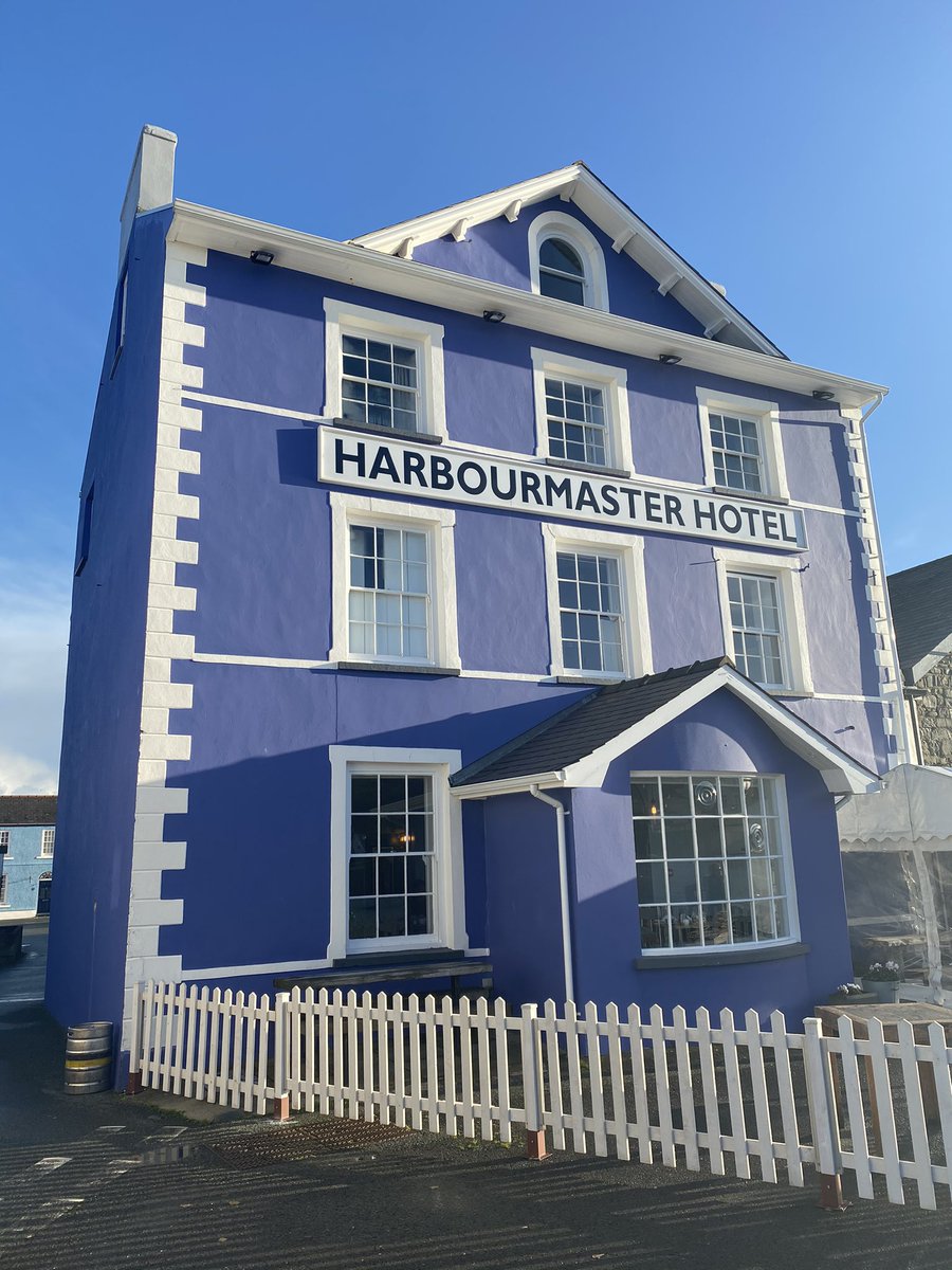 Nick Speed tweet media