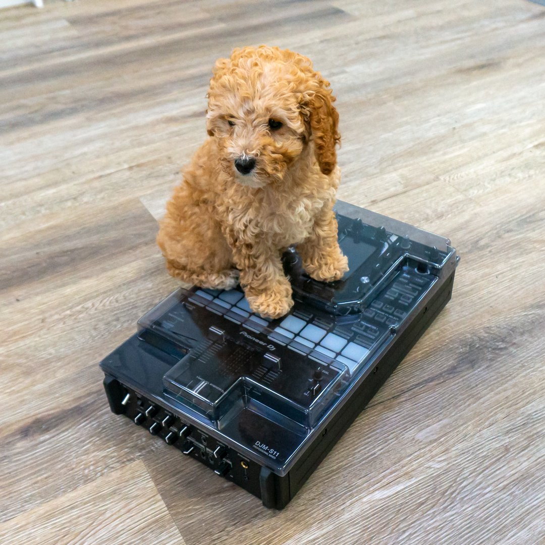 Decksaver's tweet photo. The Decksaver testing process 😉

#djm-s11 #scratchmixer #battleminxer https://t.co/5n3bFuSXwC