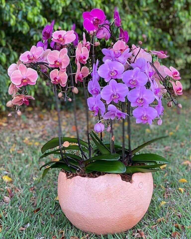 #Güçlü İnsanlar...!!!
#Üç Derin Duyguyu Gösterişsiz #Yaşarlar...!!!
#İnancını...!!!
#Aşkını...!!!
#Acısını...!!!♥️🌺🌹