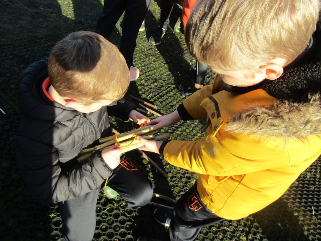 NIForestSchool's tweet image. Pupils at Harmony Hill Primary School used #hacksaws, potato peelers and tent pegs to make #bug houses out of #elder. They then hid them around the #schoolgrounds and will check on them in a couple of months to see which bugs have moved in. #keepplaying  #tooluse @lisburnccc