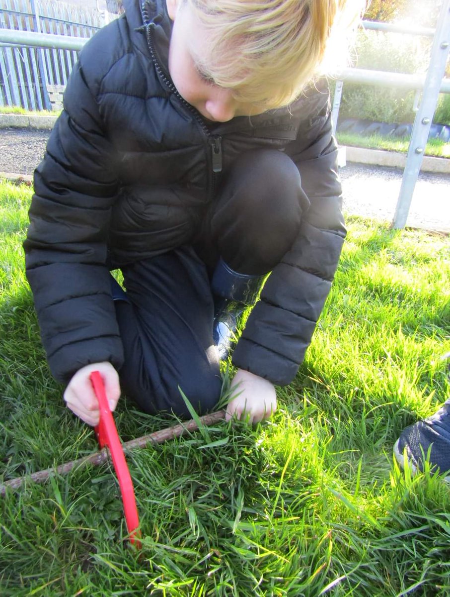 NIForestSchool's tweet image. Pupils at Harmony Hill Primary School used #hacksaws, potato peelers and tent pegs to make #bug houses out of #elder. They then hid them around the #schoolgrounds and will check on them in a couple of months to see which bugs have moved in. #keepplaying  #tooluse @lisburnccc
